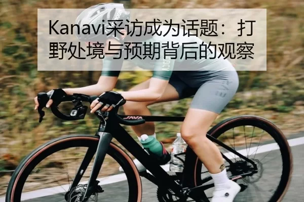 Kanavi采访成为话题：打野处境与预期背后的观察